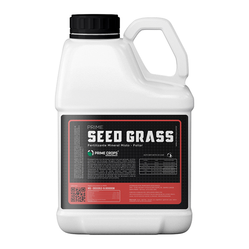 Prime Seed Grass